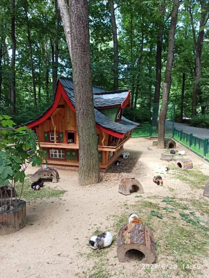 치타우 Dreilaendertreff 아파트 외부 사진